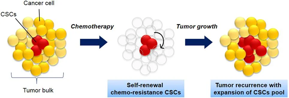Cancer Cell - Phil Richards Nutrition Lab 