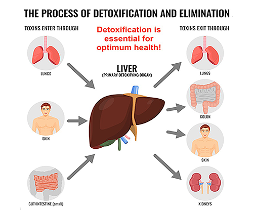 Detoxification