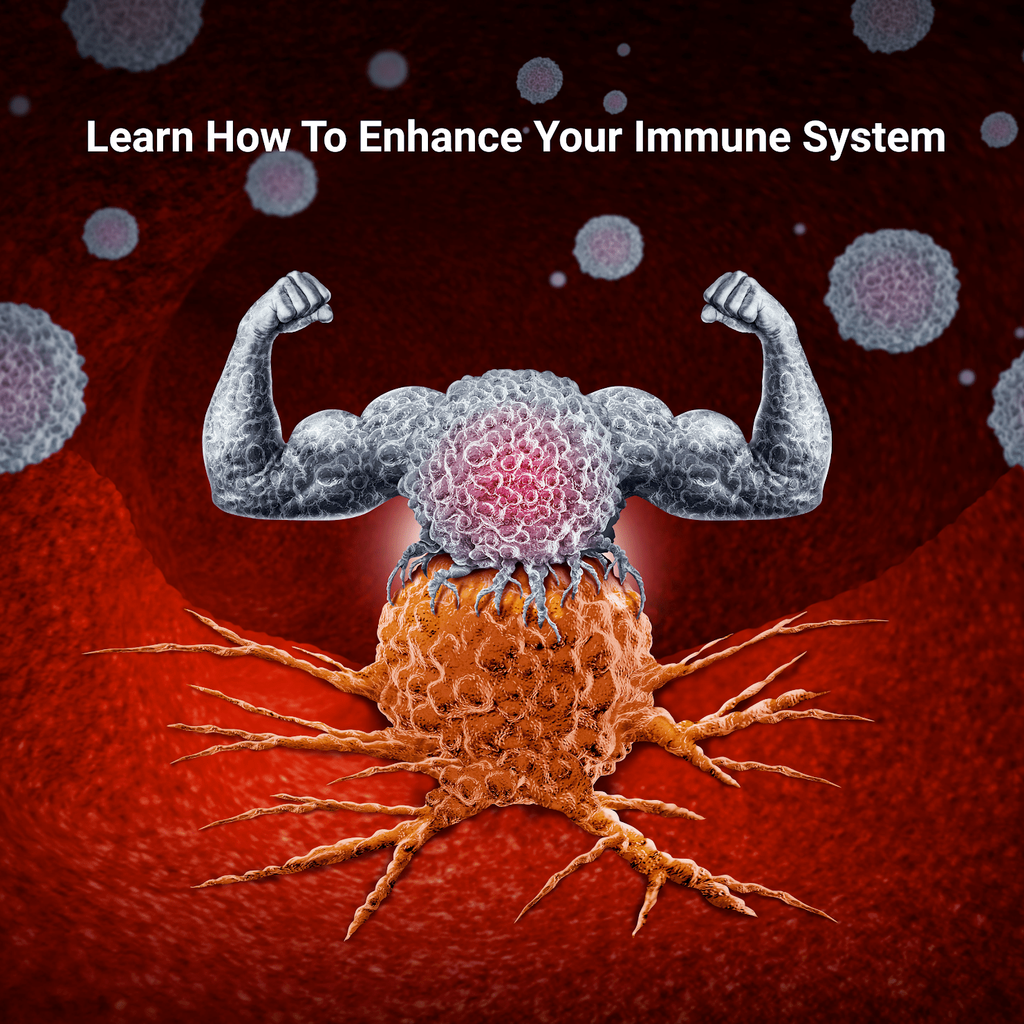 NUTRITIONAL IMMUNOLOGY WORKSHOP<br />
BUILD A CANCER FREE BODY WITH PHIL RICHARDS