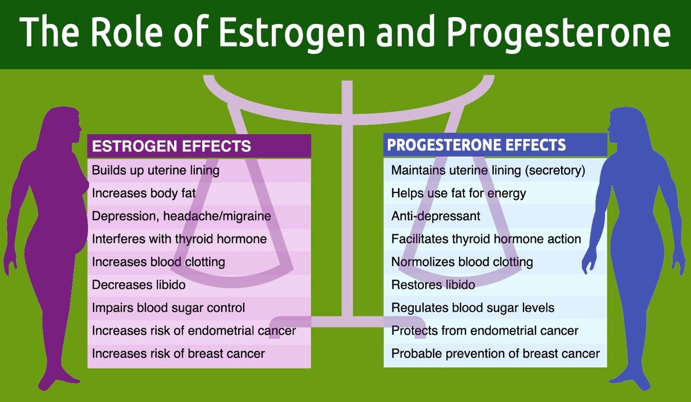 Role of Estrogen and Progesterone Role of Estrogen and Progesterone