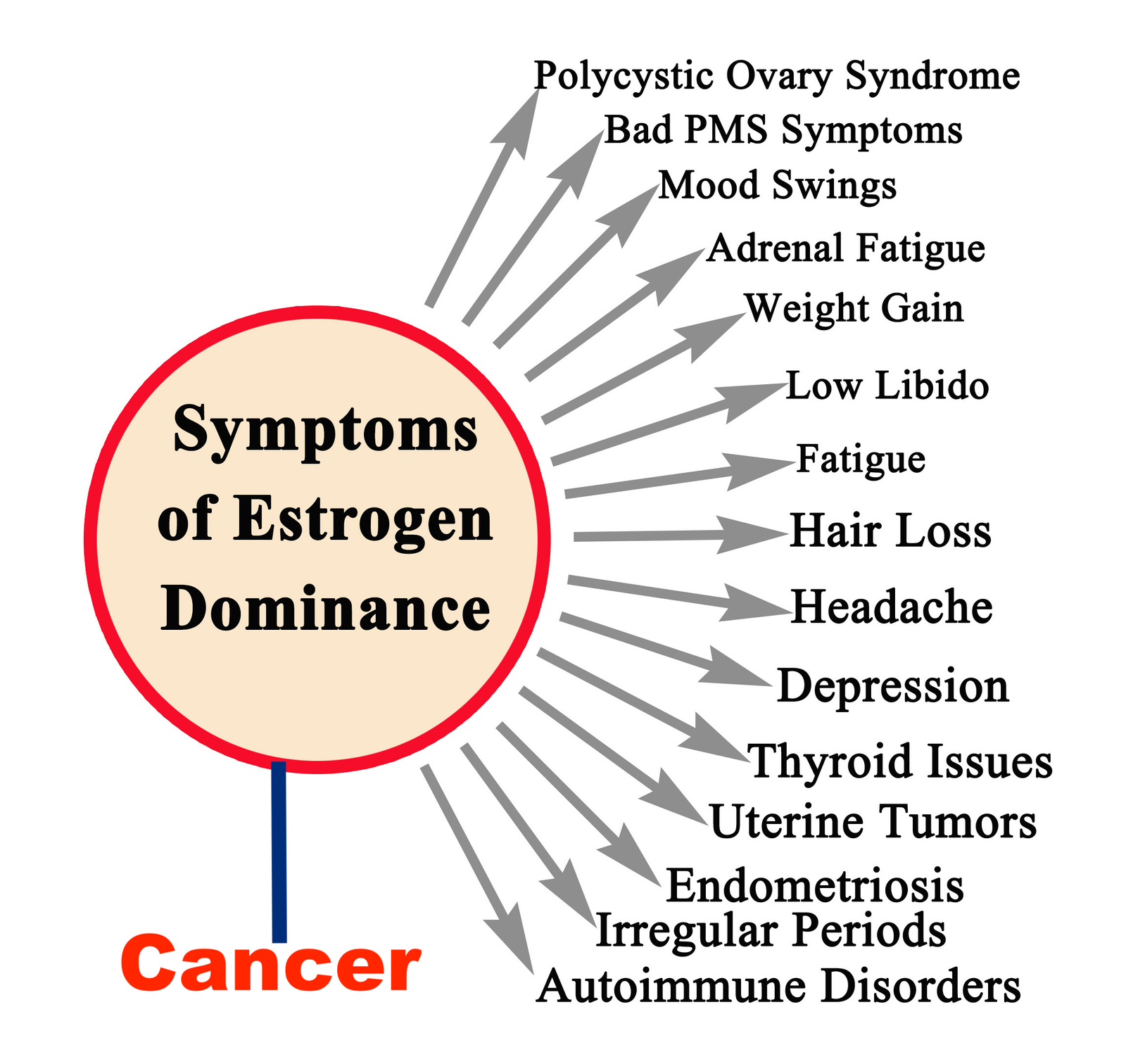 Symptoms of Estrogen Dominance Symptoms of Estrogen Dominance