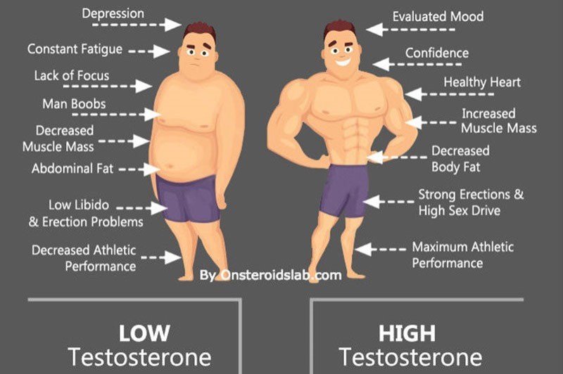 Testosterone Explained - Phil Richards Nutrition Lab