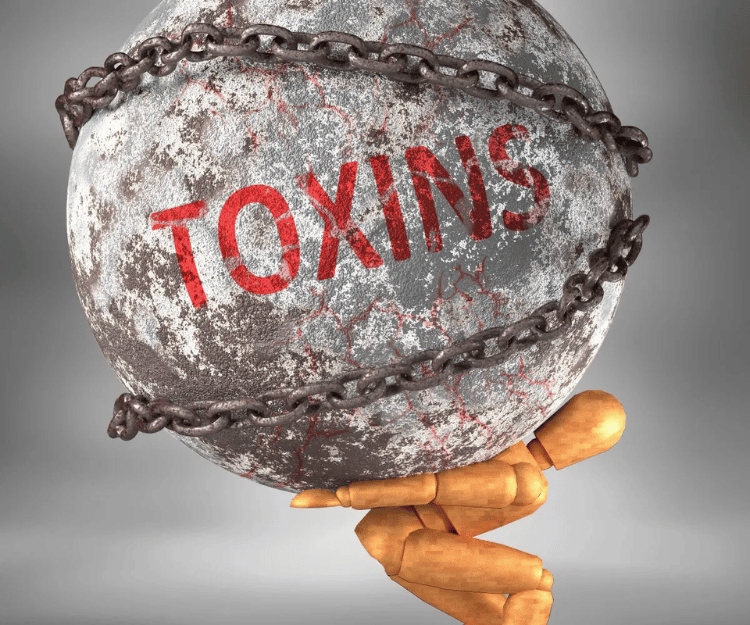 Toxin Load - Heavy Weight image