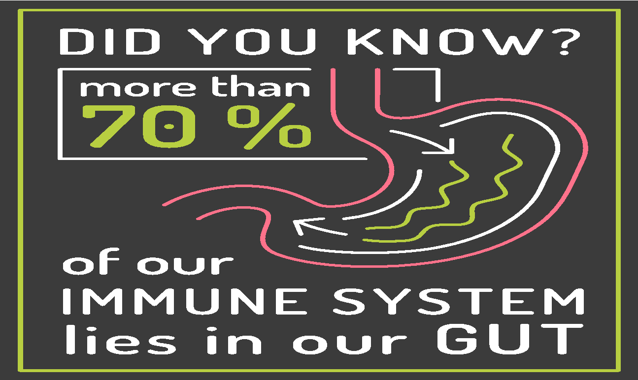 seventy percent of immune system is in the gut.