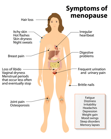 Symptoms of Menopause Diagram