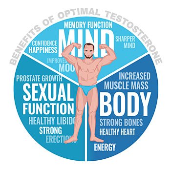 Testosterone